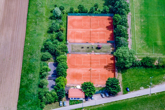 Tennisclub TC Minfeld im Bundesland Rheinland-Pfalz, Deutschland
