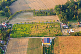 Luftaufnahme von Maislabyrinth am Seehof in Steinweiler im Bundesland Rheinland-Pfalz, Deutschland