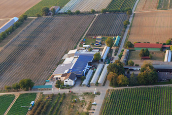Zapf Hofmarkt Hofcafée in Kandel im Bundesland Rheinland-Pfalz, Deutschland