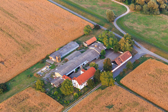 Hofgut Ludwigsau im Ortsteil Maximiliansau in Wörth am Rhein im Bundesland Rheinland-Pfalz, Deutschland