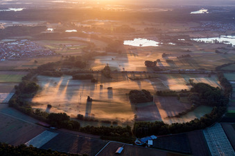 Rheinauen im Morgendunst bei Kuhhardt in Rülzheim im Bundesland Rheinland-Pfalz, Deutschland