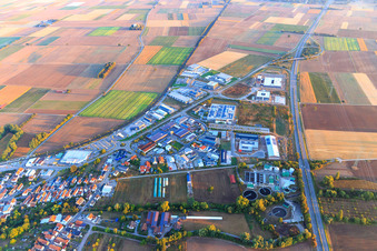 Luftbild von Industriegebiet Nordring und Im Speyerer Tal mit Markthalle 5, Resinnovation GmbH, Kardex Software GmbH, ITK Engineering GmbH und DBK David + Baader GmbH in Rülzheim im Bundesland Rheinland-Pfalz, Deutschland