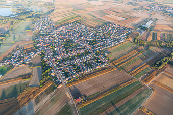 Ortsteil Mechtersheim in Römerberg im Bundesland Rheinland-Pfalz, Deutschland vom Flugzeug aus