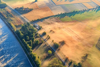 Flugplatz Herrenteich am Rheinufer mit Morgennebel in Hockenheim im Bundesland Baden-Württemberg, Deutschland