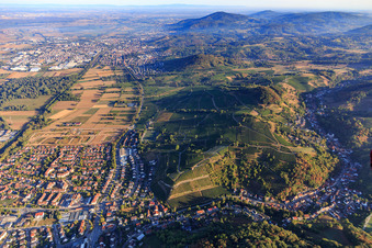 Luftbild von Blick vom Hambacher Tal nach Norden über den Rand des Odenwalds mit Geopark-Aussichtspunkt Wein-Kultur-Landschaft (Weinlage Steinkopf) im Ortsteil Unter-Hambach in Heppenheim im Bundesland Hessen, Deutschland