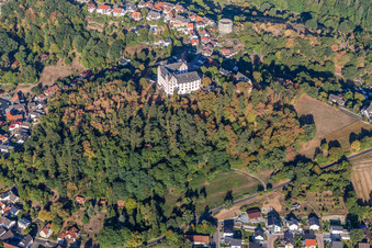Fischbachtal, Schloß Lichtenberg im Ortsteil Niedernhausen im Bundesland Hessen, Deutschland aus der Drohnenperspektive