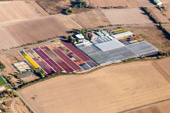 Jörg Wolter Ute Gorges Gärtnerei im Ortsteil Hergershausen in Babenhausen im Bundesland Hessen, Deutschland