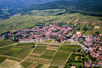 Sonnenberg im Ortsteil Schweigen in Schweigen-Rechtenbach im Bundesland Rheinland-Pfalz, Deutschland