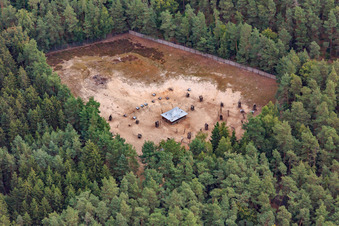RAMSES in Geiselwind im Bundesland Bayern, Deutschland