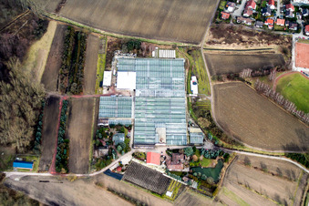 Geraniengärtnerei in Hagenbach im Bundesland Rheinland-Pfalz, Deutschland