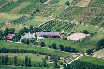 Heidbrunnerhof in Oberotterbach im Bundesland Rheinland-Pfalz, Deutschland