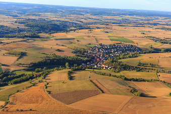 Luftbild von Dorfansicht aus Südosten im Ortsteil Waldmühlbach in Billigheim im Bundesland Baden-Württemberg, Deutschland