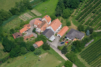 Luftbild von Mühle am Erlenbach in Winden im Bundesland Rheinland-Pfalz, Deutschland