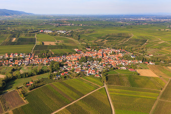 Dorfansicht zwischen Weinbergen aus Südwesten in Göcklingen im Bundesland Rheinland-Pfalz, Deutschland