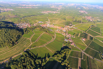Weinlage Haardtrand-Annaberg in Burrweiler im Bundesland Rheinland-Pfalz, Deutschland