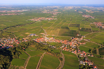 Luftbild von Weinlage Haardtrand-Annaberg in Burrweiler im Bundesland Rheinland-Pfalz, Deutschland
