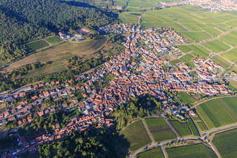 Winzerdorfübersicht zwischen Weinbergen aus Süden im Ortsteil SaintMartin in Sankt Martin im Bundesland Rheinland-Pfalz, Deutschland