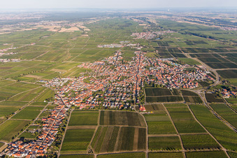 Maikammer im Bundesland Rheinland-Pfalz, Deutschland vom Flugzeug aus