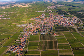 Maikammer im Bundesland Rheinland-Pfalz, Deutschland aus der Vogelperspektive
