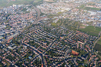 Neustadt an der Weinstraße im Bundesland Rheinland-Pfalz, Deutschland aus der Drohnenperspektive