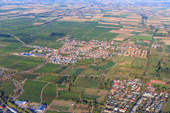 Winzerdorfansicht zwischen Weinbergen aus Südwesten in Niederkirchen bei Deidesheim im Bundesland Rheinland-Pfalz, Deutschland