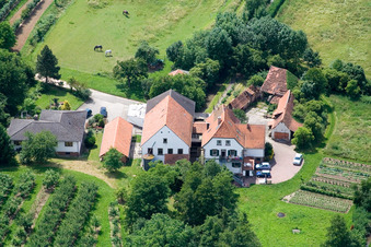 Luftaufnahme von Mühle am Erlenbach in Winden im Bundesland Rheinland-Pfalz, Deutschland