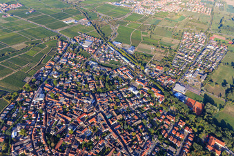 Stadtübersicht aus Süden in Deidesheim im Bundesland Rheinland-Pfalz, Deutschland