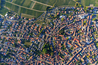 Buhlscher Park in Deidesheim im Bundesland Rheinland-Pfalz, Deutschland