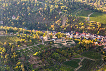Wachtenburg (Ruine "Burg Wachenheim") in Wachenheim(Pfalz) in Wachenheim an der Weinstraße im Bundesland Rheinland-Pfalz, Deutschland