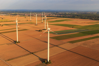 Windpark Rülzheim-Herxheimweyher von Pfalzwind im Bundesland Rheinland-Pfalz, Deutschland