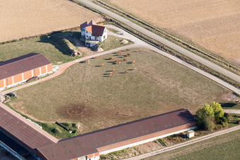Drohnenbild von Schleithal im Bundesland Bas-Rhin, Frankreich