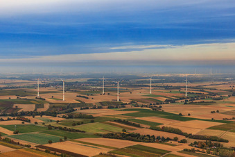 Windpark der EnBW - Windenergieanlage mit 6 Windrädern aus Südwesten in Freckenfeld im Bundesland Rheinland-Pfalz, Deutschland