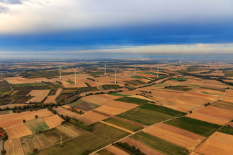 Luftaufnahme von Windpark der EnBW - Windenergieanlage mit 6 Windrädern in Freckenfeld im Bundesland Rheinland-Pfalz, Deutschland