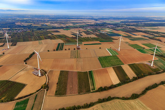 Windpark der EnBW - Windenergieanlage mit 6 Windrädern in Freckenfeld im Bundesland Rheinland-Pfalz, Deutschland aus der Luft