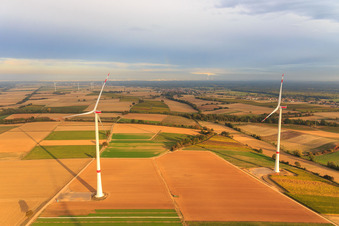 Windpark der EnBW - Windenergieanlage mit 6 Windrädern in Freckenfeld im Bundesland Rheinland-Pfalz, Deutschland aus der Vogelperspektive