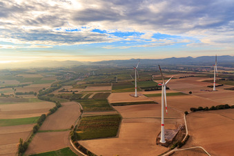 Windpark der EnBW - Windenergieanlage mit 6 Windrädern in Freckenfeld im Bundesland Rheinland-Pfalz, Deutschland aus der Luft betrachtet