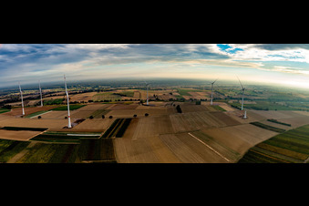 Windpark der EnBW - Windenergieanlage mit 6 Windrädern auf einem Feld in Freckenfeld im Bundesland Rheinland-Pfalz, Deutschland