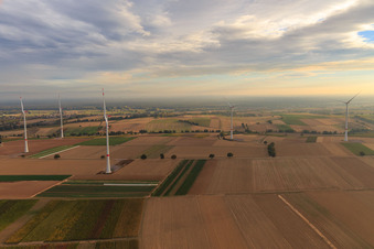 Windpark der EnBW - Windenergieanlage mit 6 Windrädern in Freckenfeld im Bundesland Rheinland-Pfalz, Deutschland aus der Drohnenperspektive