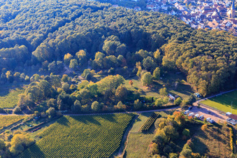 Schrägluftbild von Garten am Waldrand in Dörrenbach im Bundesland Rheinland-Pfalz, Deutschland