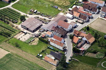 Wiesenstr im Ortsteil Mühlhofen in Billigheim-Ingenheim im Bundesland Rheinland-Pfalz, Deutschland von oben