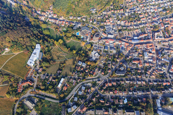 Kurpark und Edith-Stein-Fachklinik - Klinik für Orthopädie aus Süden in Bad Bergzabern im Bundesland Rheinland-Pfalz, Deutschland