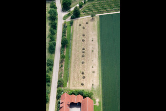 Weingut Lindenhof im Ortsteil Mühlhofen in Billigheim-Ingenheim im Bundesland Rheinland-Pfalz, Deutschland