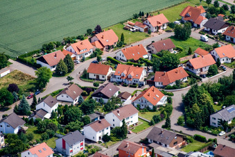 In den Rappengärten in Steinweiler im Bundesland Rheinland-Pfalz, Deutschland