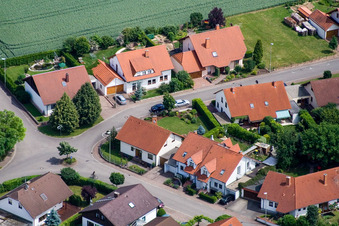 In den Rappengärten in Steinweiler im Bundesland Rheinland-Pfalz, Deutschland von oben gesehen