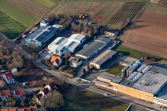 Gewerbegebiet Kurfürstenstraße mit Kellerei ZGM Zimmermann-Graeff & Müller GmbH & Co.  und DEKRA Automobil GmbH Station Bad Bergzabern im Ortsteil Pleisweiler im Bundesland Rheinland-Pfalz, Deutschland