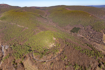 Luftbild von Kapelle Wetterkreuzberg in Maikammer im Bundesland Rheinland-Pfalz, Deutschland
