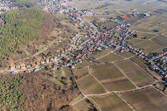 Winzerdorfansicht aus Süden im Winter ohne Schnee im Ortsteil Hambach an der Weinstraße in Neustadt an der Weinstraße im Bundesland Rheinland-Pfalz, Deutschland
