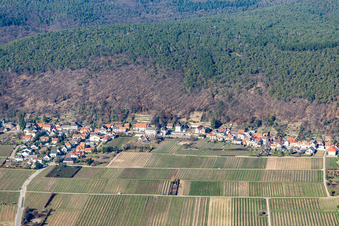 Luftbild von Mandelring im Ortsteil Haardt in Neustadt an der Weinstraße im Bundesland Rheinland-Pfalz, Deutschland
