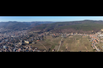 Panorama Perspektive der Weinbergs- Landschaft im Ortsteil Haardt in Neustadt an der Weinstraße im Bundesland Rheinland-Pfalz, Deutschland