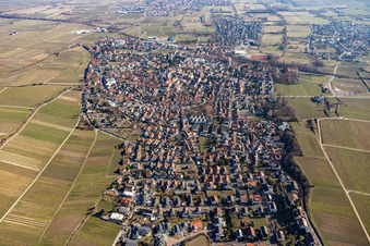 Stadtübersicht aus Westen im Winter ohne Schnee in Deidesheim im Bundesland Rheinland-Pfalz, Deutschland